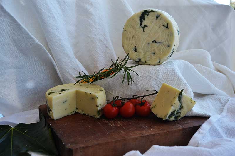 Pecorino rucola