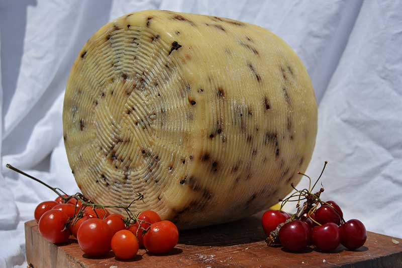 pecorino pepato di calabria