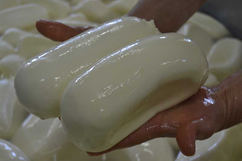 provola e mozzarella per pizza